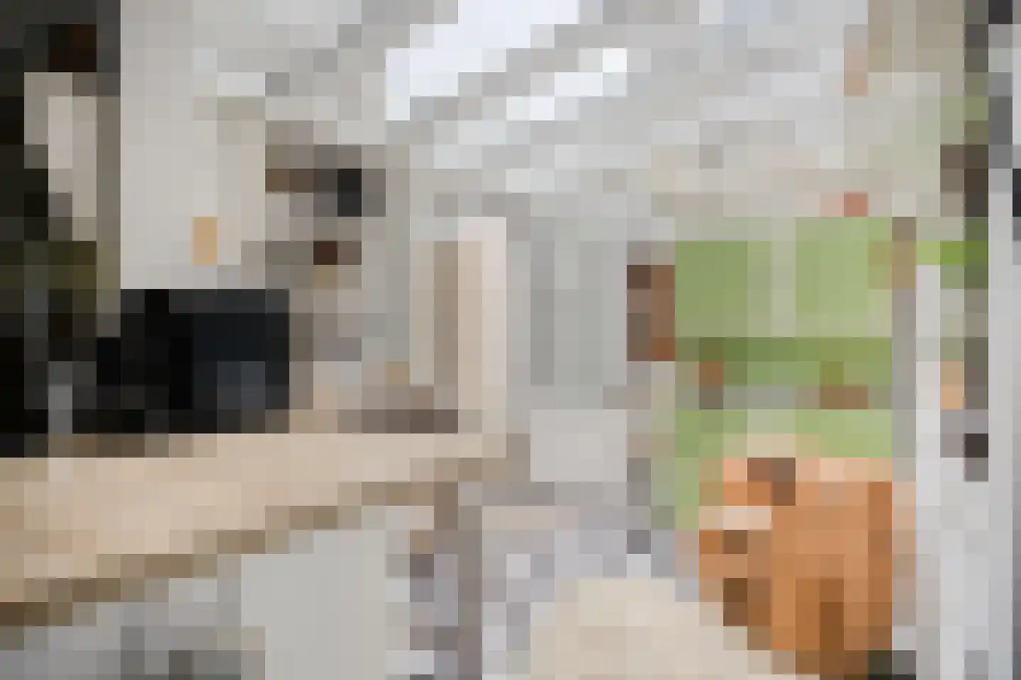 Trouwlaan 79 Tilburg thumbnail 11