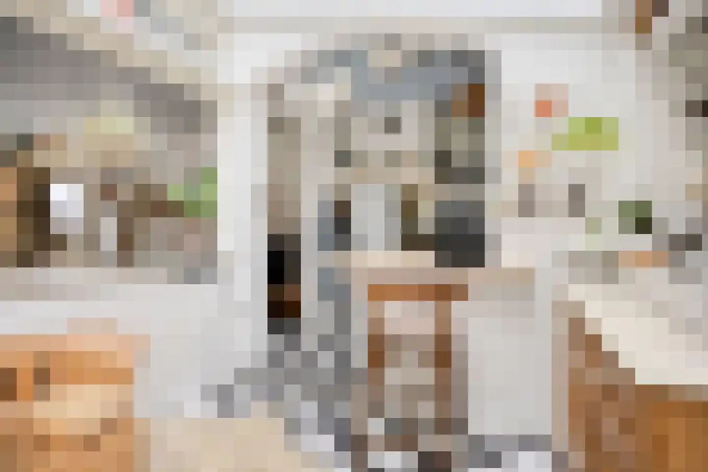 Trouwlaan 79 Tilburg thumbnail 13
