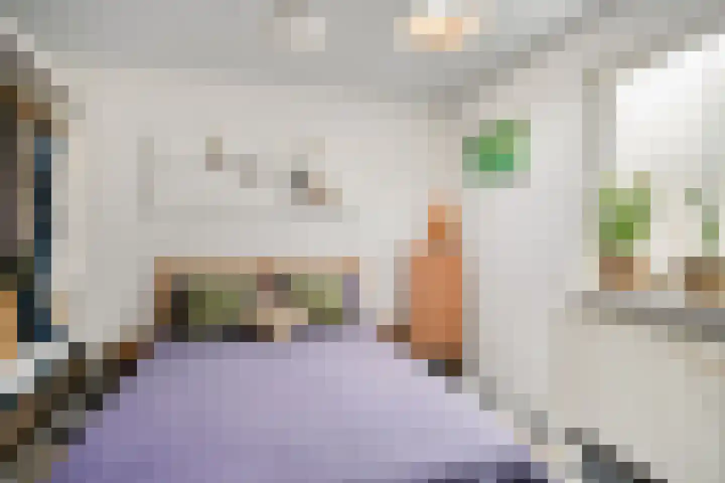 Trouwlaan 79 Tilburg thumbnail 15