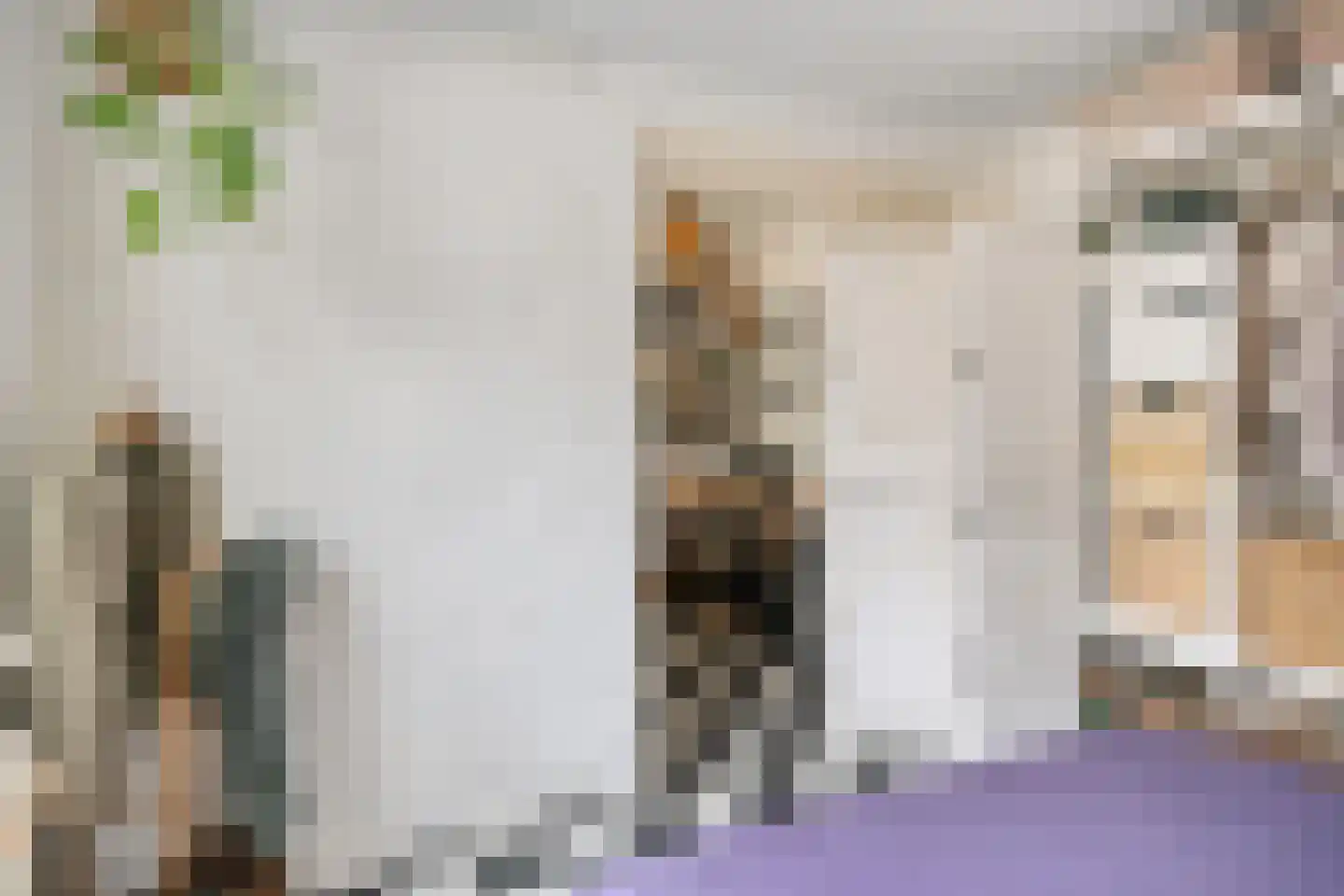 Trouwlaan 79 Tilburg thumbnail 16