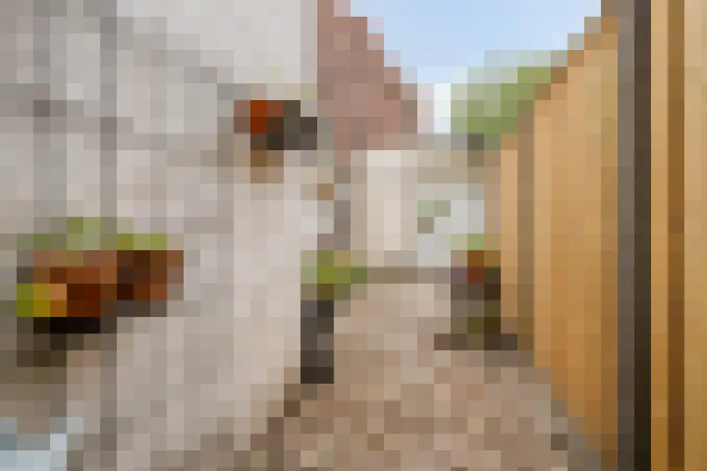 Trouwlaan 79 Tilburg thumbnail 21