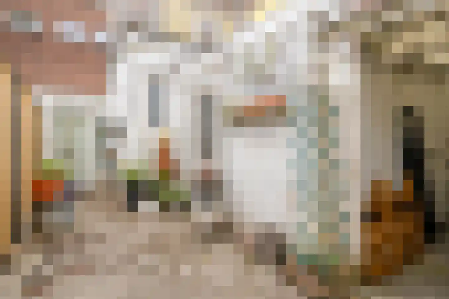Trouwlaan 79 Tilburg thumbnail 22