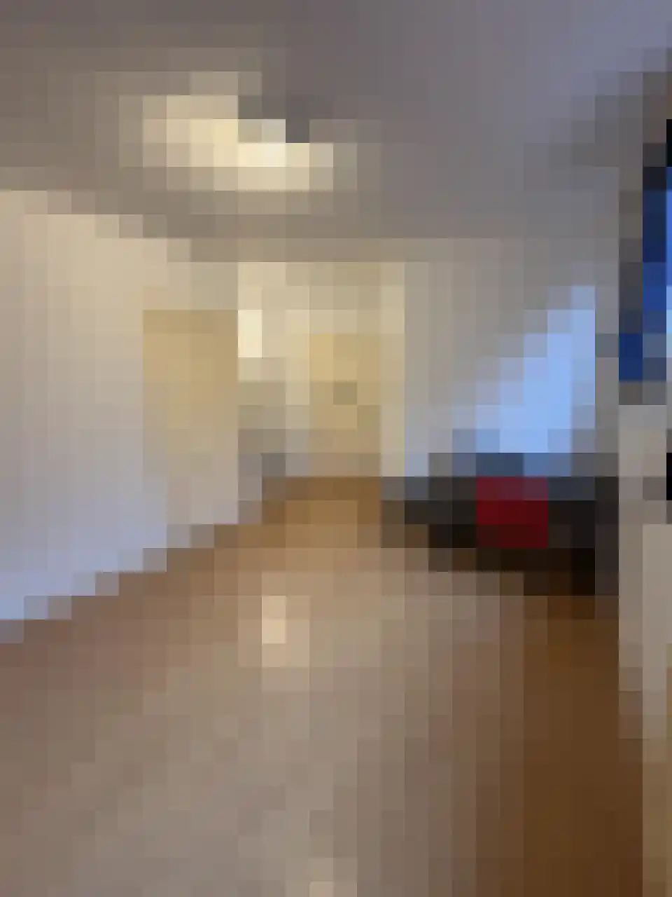 Trouwlaan 91 9 Tilburg thumbnail 4