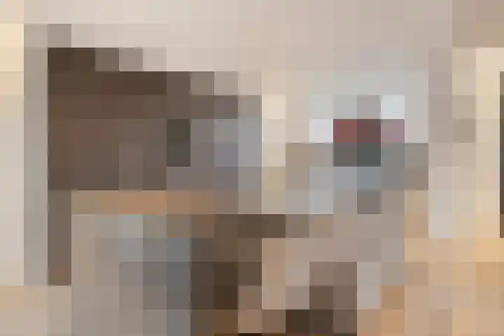 Troymanshoeve 2 Helmond thumbnail 12