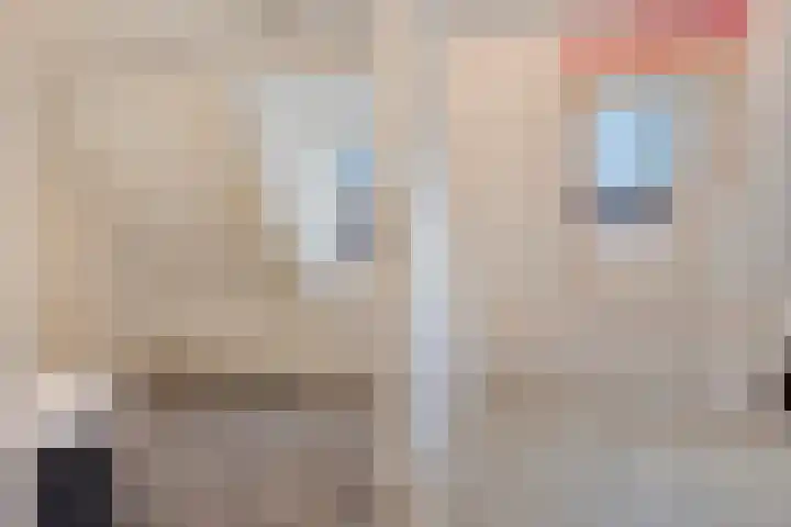 Troymanshoeve 2 Helmond thumbnail 24
