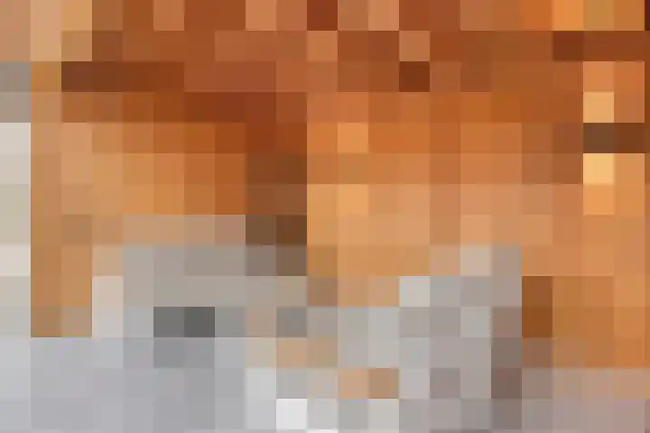 Troymanshoeve 2 Helmond thumbnail 35