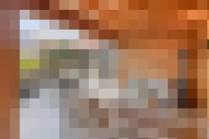 Troymanshoeve 2 Helmond thumbnail 36