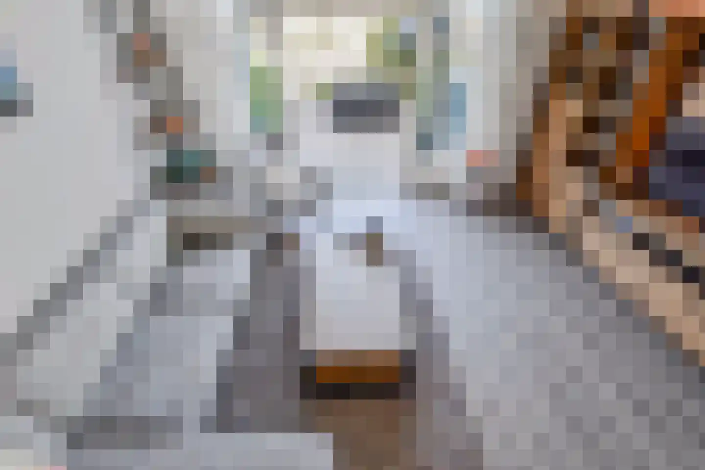 Trude Mertenslaan 16 Den Haag thumbnail 16