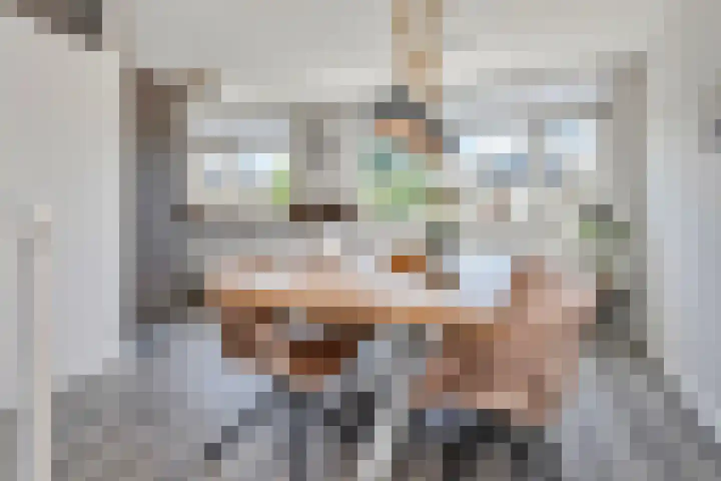 Trude Mertenslaan 16 Den Haag thumbnail 17