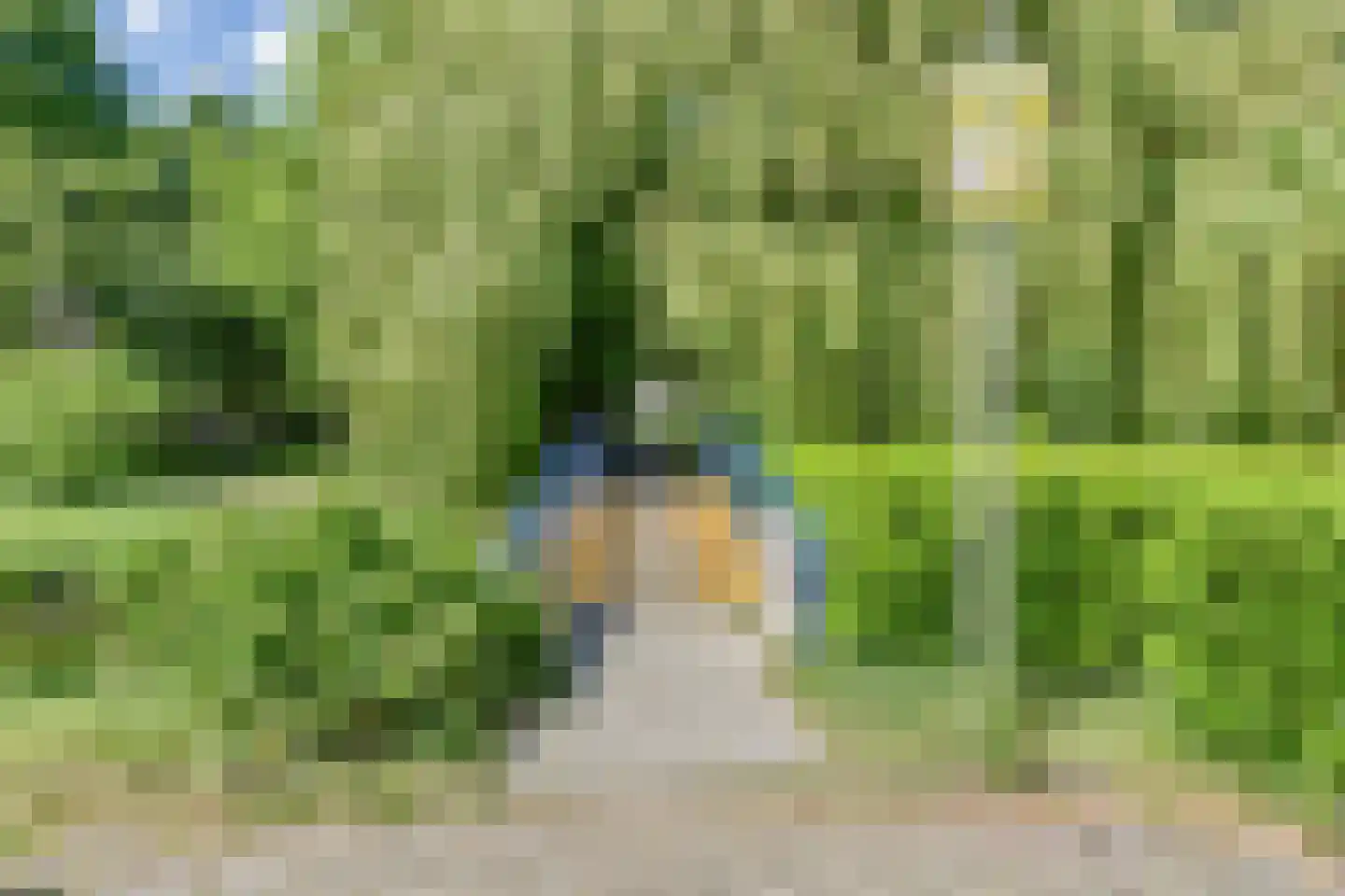 Trude Mertenslaan 16 Den Haag thumbnail 37