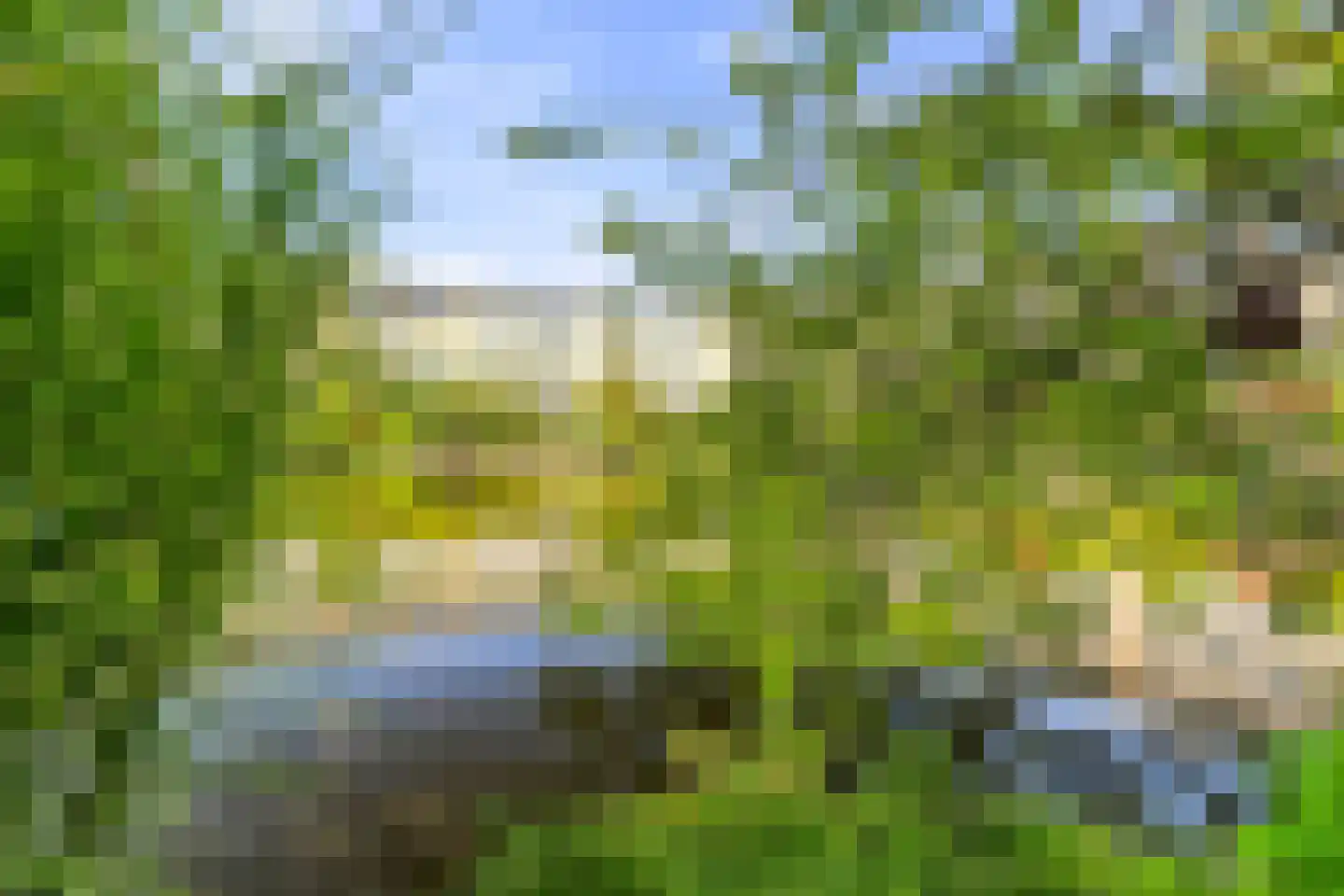 Trude Mertenslaan 24 Den Haag thumbnail 6