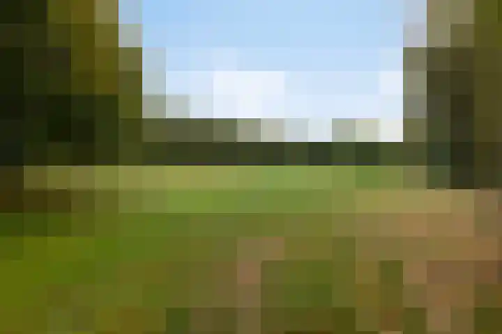 Truffautstraat 11 Almere thumbnail 30