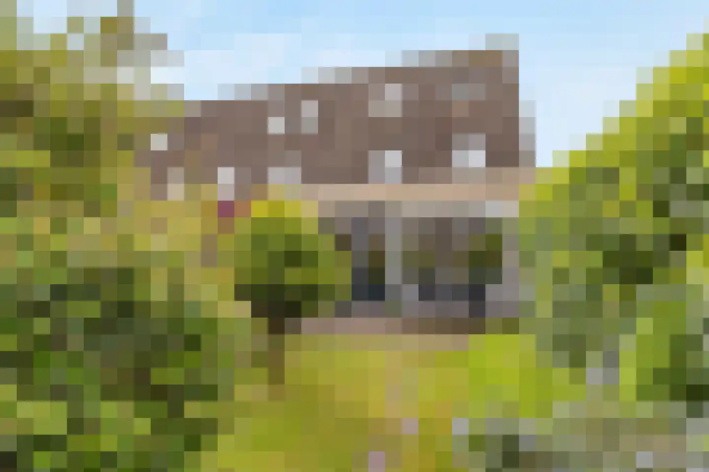 Truffautstraat 43 Almere thumbnail 24