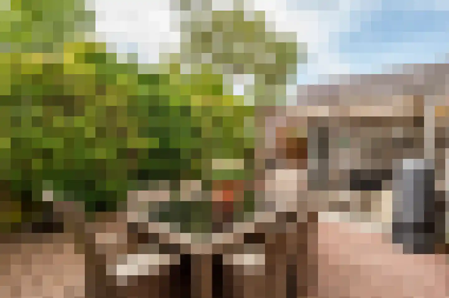 Truffautstraat 48 Almere thumbnail 34
