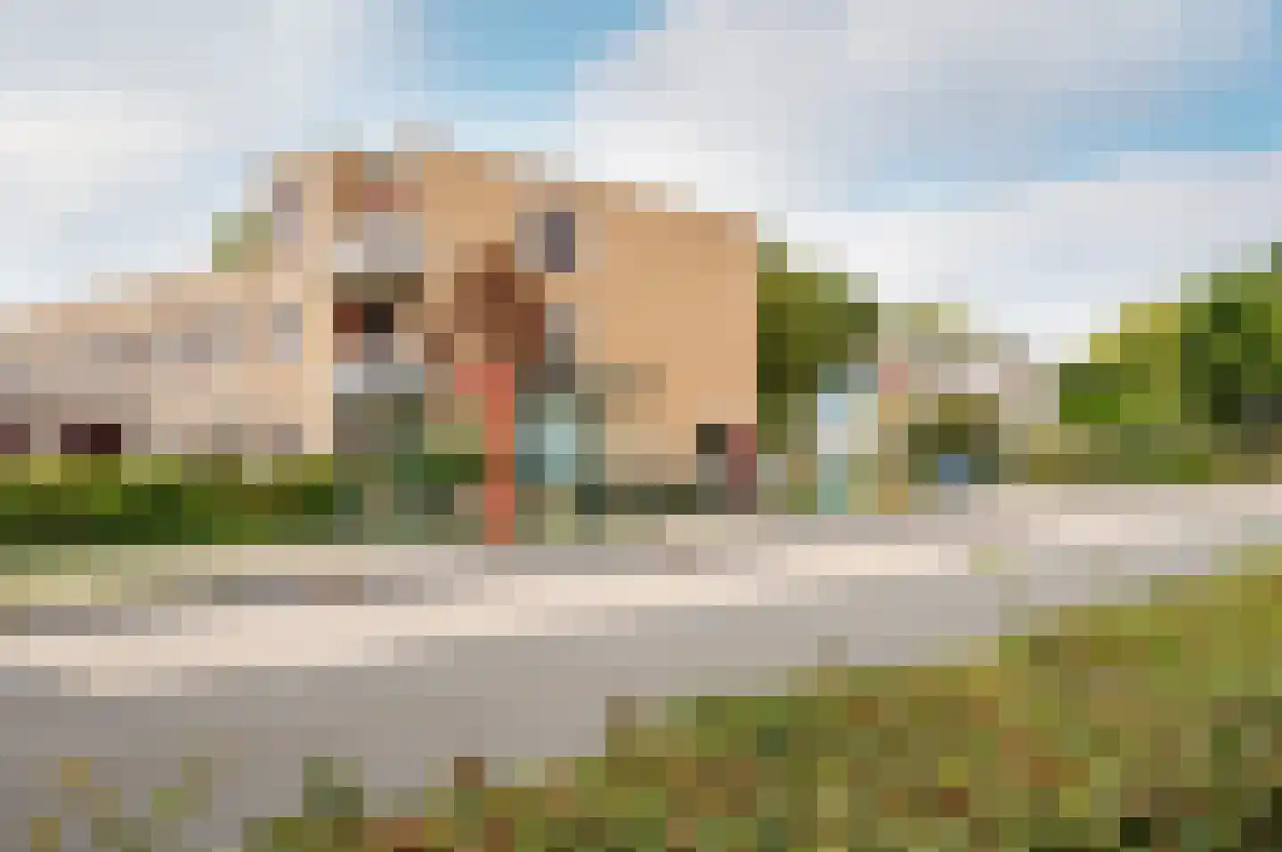 Truffautstraat 48 Almere thumbnail 41