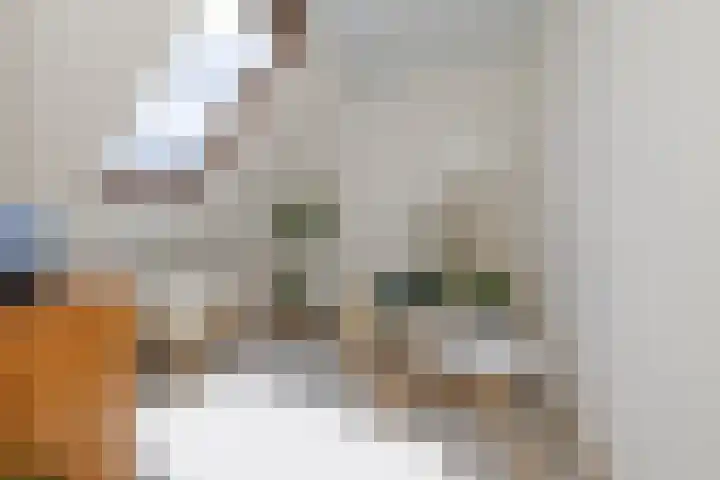 Truffautstraat 75 Almere thumbnail 20