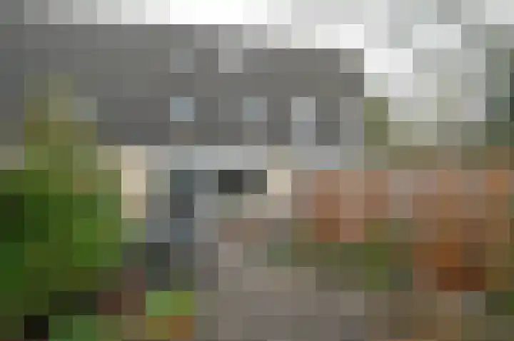 Truffautstraat 96 Almere thumbnail 15