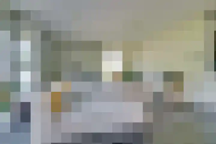 Truffelzwam 1 Vleuten thumbnail 10