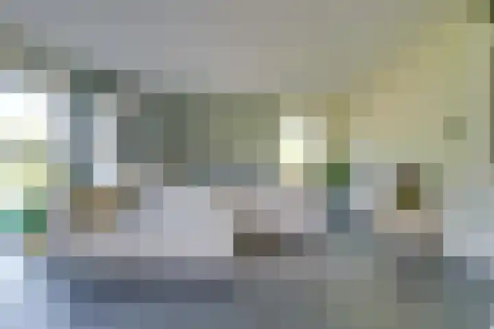 Truffelzwam 1 Vleuten thumbnail 11