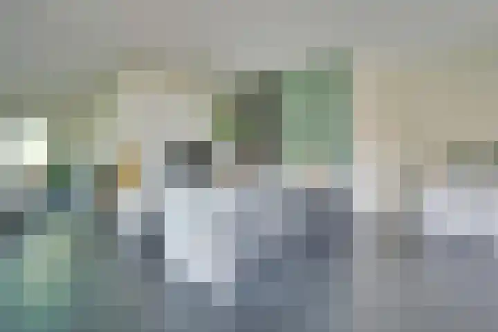 Truffelzwam 1 Vleuten thumbnail 15