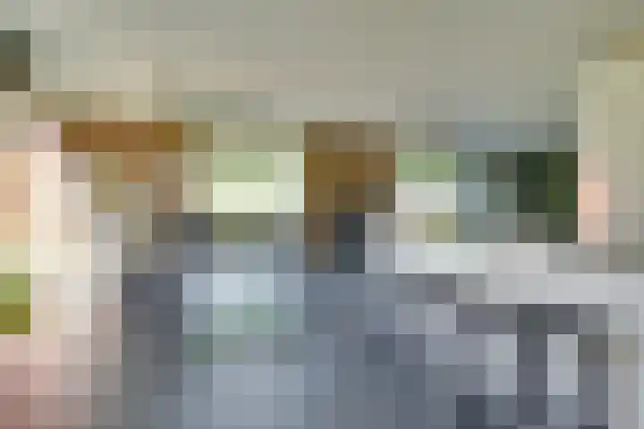 Truffelzwam 1 Vleuten thumbnail 18