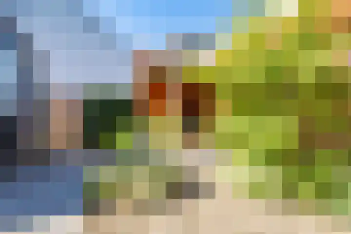 Truffelzwam 1 Vleuten thumbnail 19