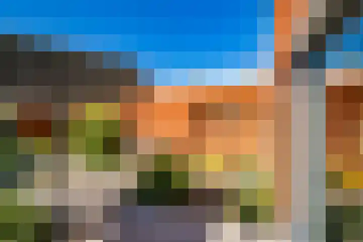 Truffelzwam 1 Vleuten thumbnail 21