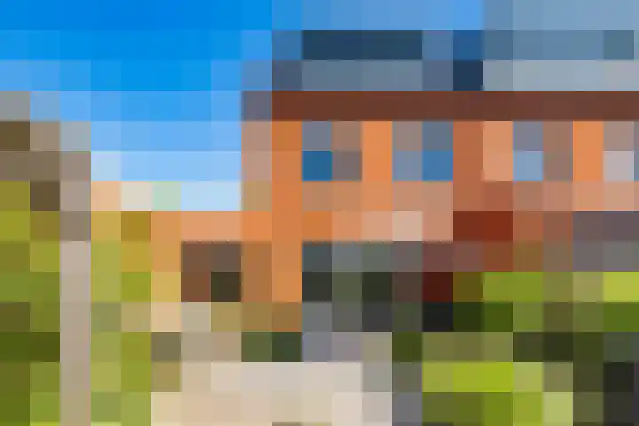 Truffelzwam 1 Vleuten thumbnail 23