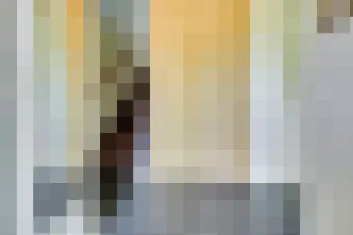 Truffelzwam 1 Vleuten thumbnail 24
