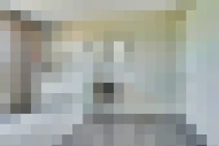 Truffelzwam 1 Vleuten thumbnail 25
