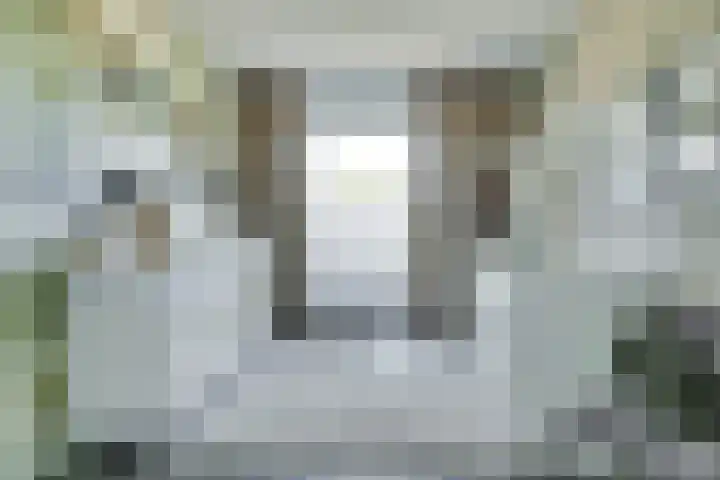 Truffelzwam 1 Vleuten thumbnail 26