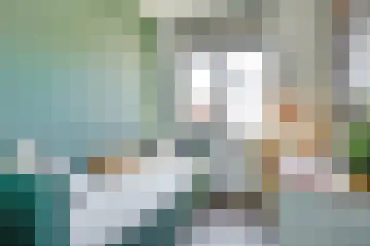 Truffelzwam 1 Vleuten thumbnail 28