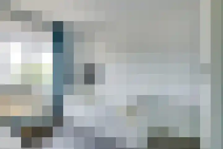 Truffelzwam 1 Vleuten thumbnail 31
