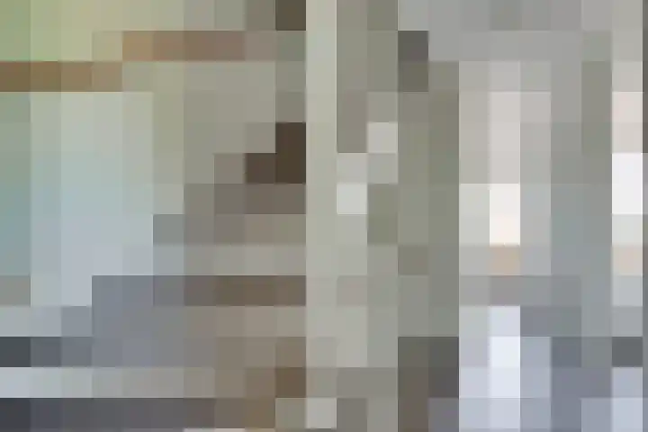 Truffelzwam 1 Vleuten thumbnail 33