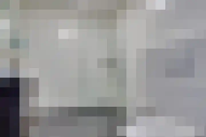 Truffelzwam 1 Vleuten thumbnail 34
