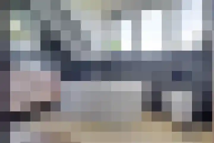 Truffelzwam 1 Vleuten thumbnail 39