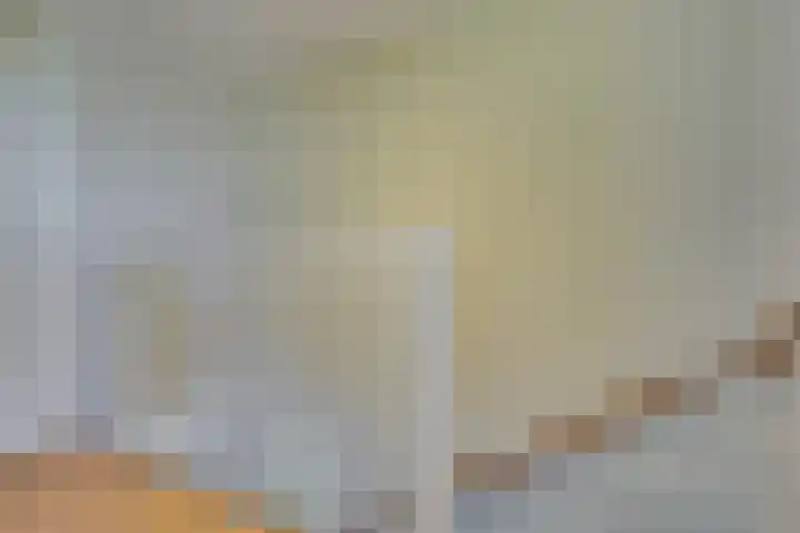 Truffelzwam 1 Vleuten thumbnail 41