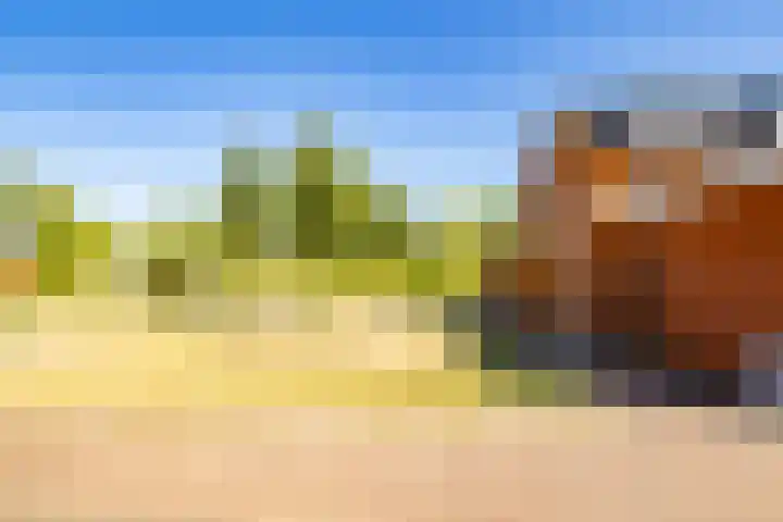 Truffelzwam 1 Vleuten thumbnail 42
