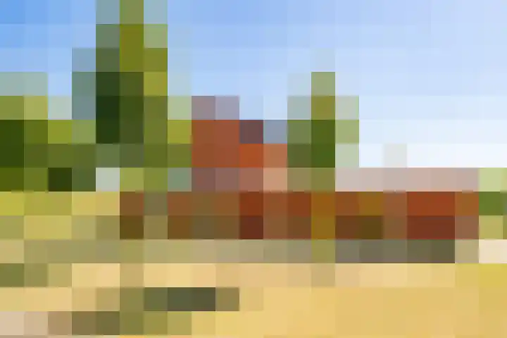 Truffelzwam 1 Vleuten thumbnail 43
