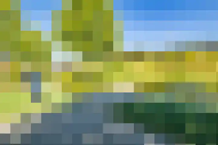Truffelzwam 1 Vleuten thumbnail 45