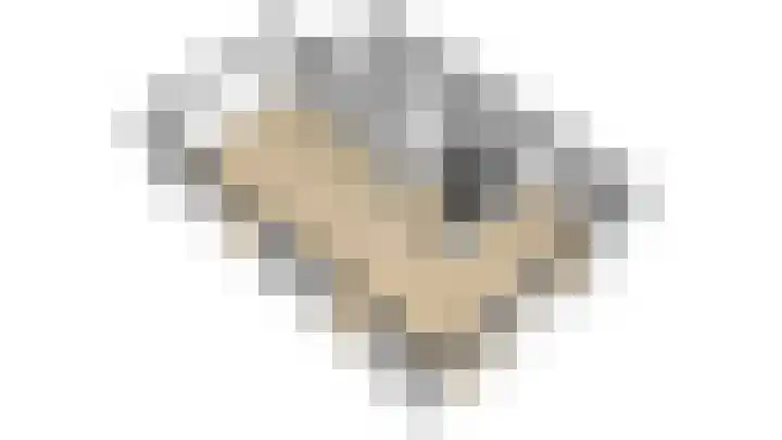 Truffelzwam 1 Vleuten thumbnail 48