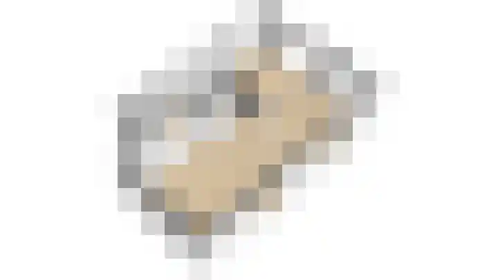 Truffelzwam 1 Vleuten thumbnail 49