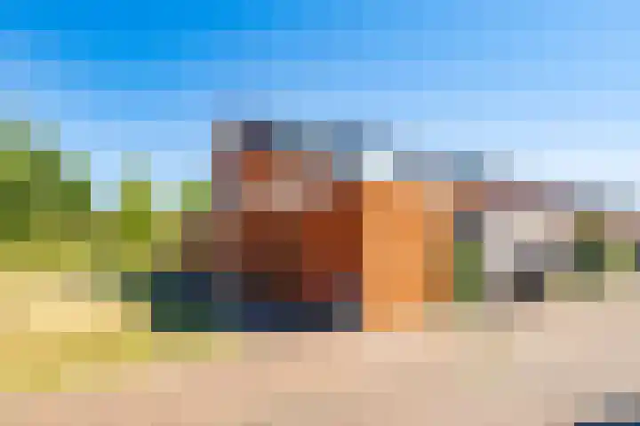 Truffelzwam 1 Vleuten thumbnail 5