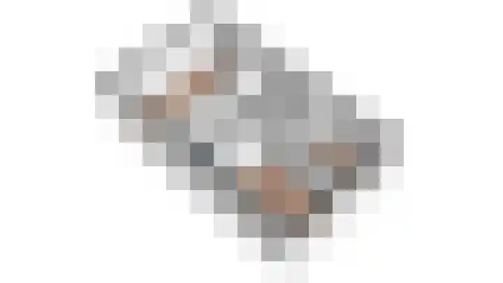 Truffelzwam 1 Vleuten thumbnail 51