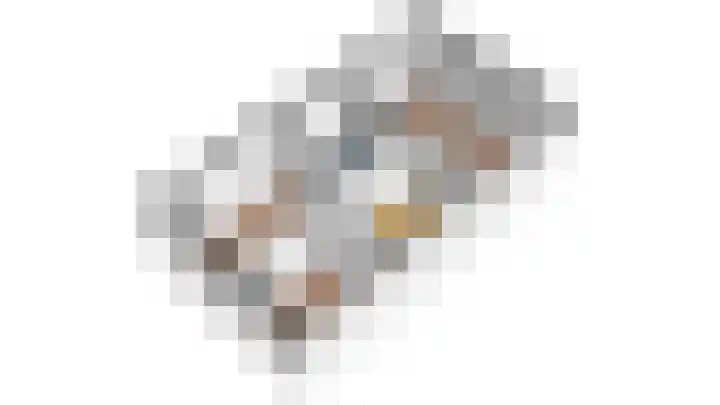 Truffelzwam 1 Vleuten thumbnail 52