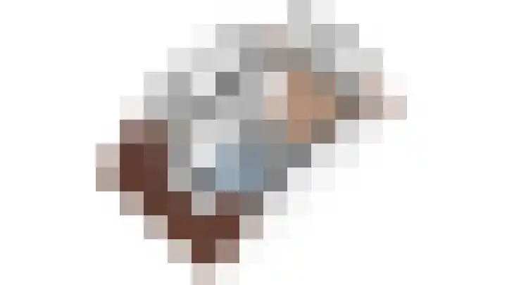 Truffelzwam 1 Vleuten thumbnail 56