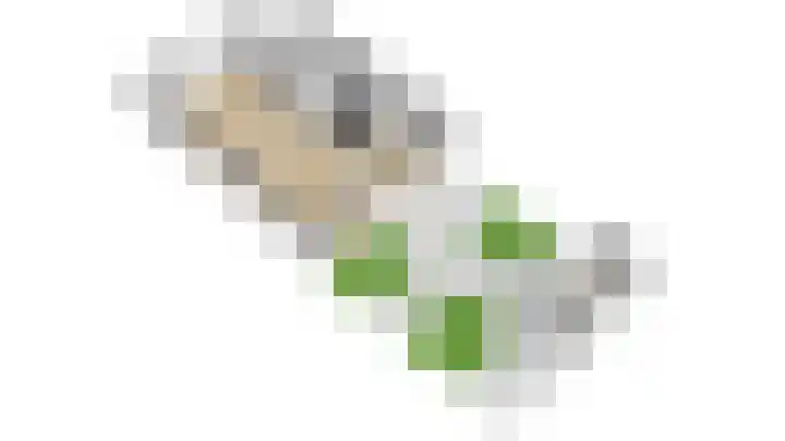 Truffelzwam 1 Vleuten thumbnail 59