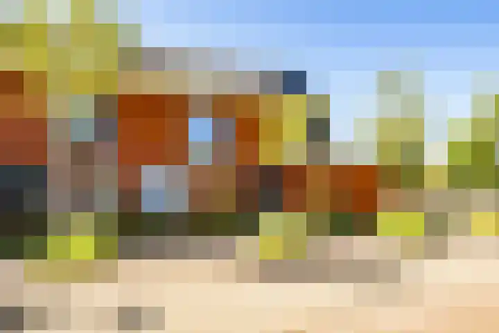 Truffelzwam 1 Vleuten thumbnail 6