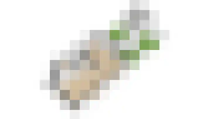 Truffelzwam 1 Vleuten thumbnail 60
