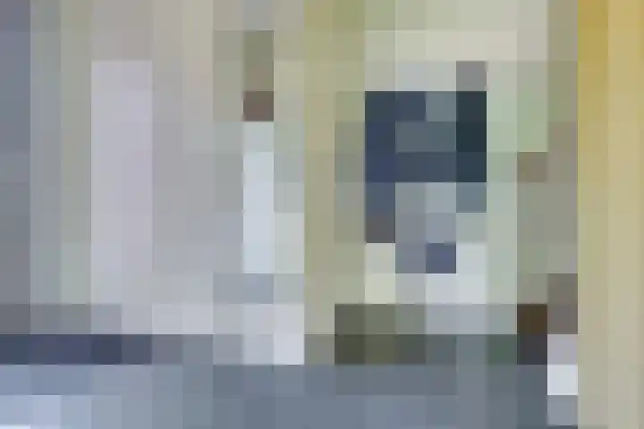 Truffelzwam 1 Vleuten thumbnail 7